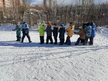 Зимние прогулки